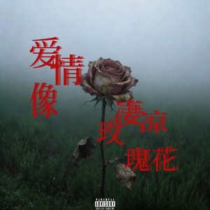 爱情像凄凉玫瑰花