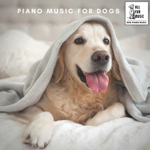 Feline Fantasy Fantaisies