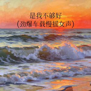 是我不够好(劲爆车载慢摇女声)
