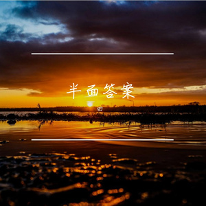 半面答案