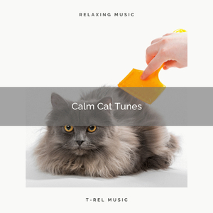 Music for Sleepy Pets Only part 3