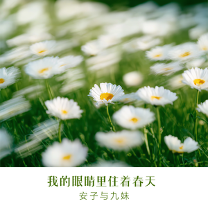 我的眼睛里住着春天