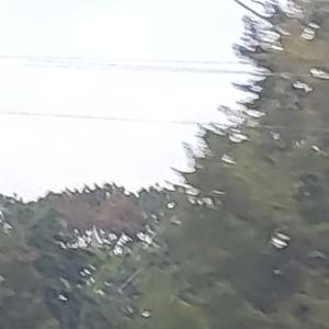 Burning (feat. Majora's Mask)