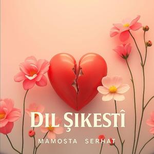 Dil Şikestî