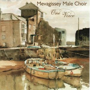 You Must Have Been A Beautiful Baby (feat. Meva Capella)