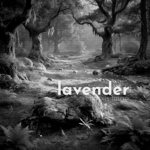 Lavender