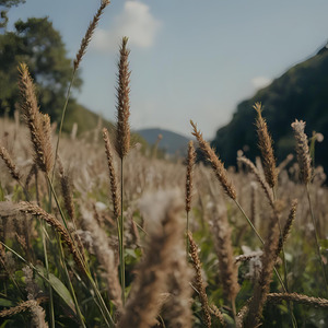 信じれば叶う　Believe in Yourself　信成万事