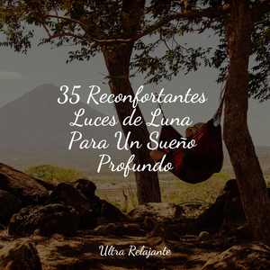 Siéntate y Relájate