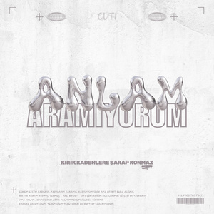 Anlam Aramıyorum