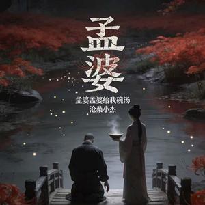 孟婆孟婆给我碗汤(广场舞DJ版)