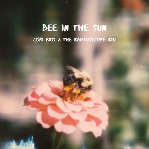Bee in the Sun (feat. The Kaleidoscope Kid)