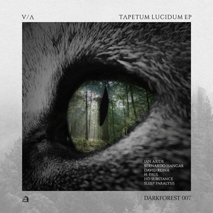 Narcotic (Original Mix)