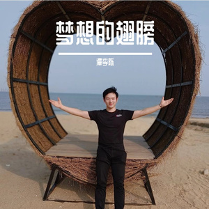 梦想的翅膀-谭李陈