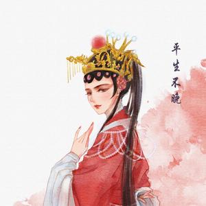 天命 (1.1x DJ 王小龙版)