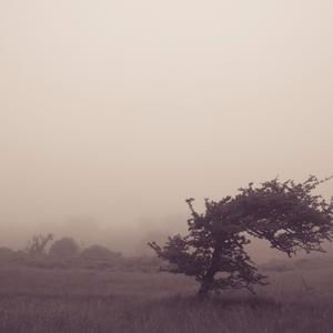 Twijfel Weifel Wankel (Radio Edit)