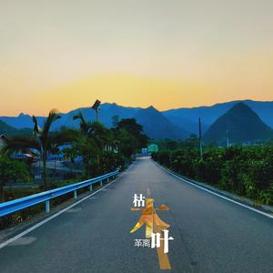 枯木叶 (正式版)