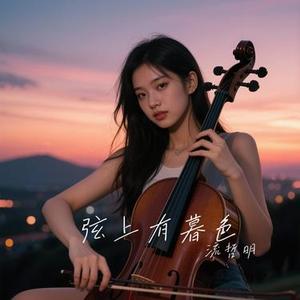 弦上有暮色