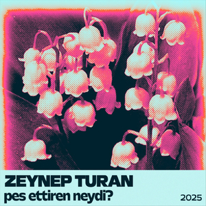 Pes Ettiren Neydi?