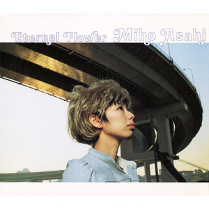 アンモナイトと夢を (FMO Reconstruction)