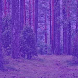 抚慰的温泉回忆