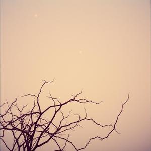 一人歩む恋の最後