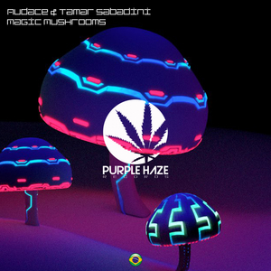 Magic Mushrooms (Original Mix)