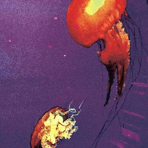 Lil Ghost小鬼-If I Can（奈泉新一 remix）