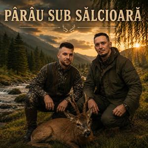 La parau sub salcioara