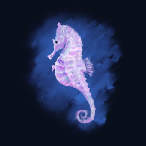seahorse