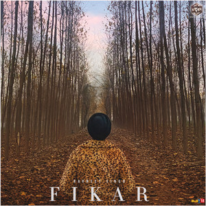 Fikar