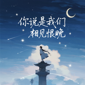 你说是我们相见恨晚