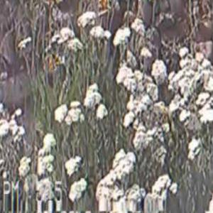 I Think Im Fine (feat. HKFiftyOne)