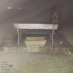 Foxholes (dead shrews).