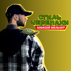 Стиль черепахи