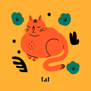 Fat