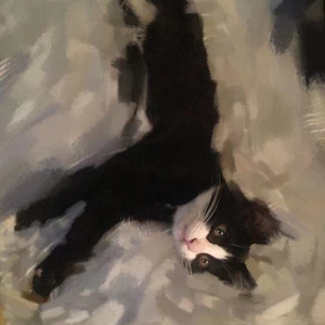 20230520李离李李mmm 伴奏