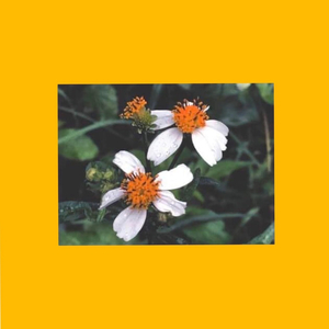 ขอให้เธอเติบโตได้ดีในโลกที่โหดร้าย