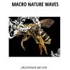 Chilled Waves Nature Library - Ambient Nature Sound
