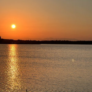 唯一(翻自 告五人)