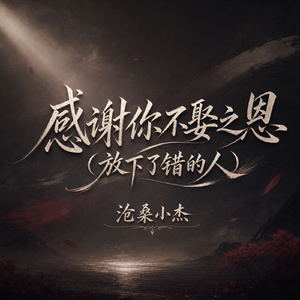 感谢你不娶之恩(放下了错的人)