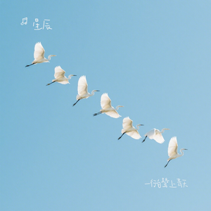 一行白鹭上青天