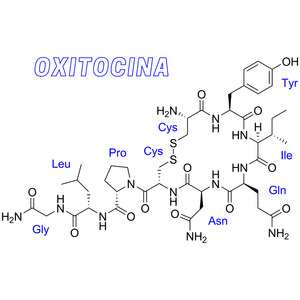 Oxitocina