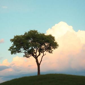 Teri Nazar (feat. Samarth)