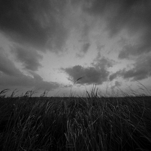 The Last Descendants of Earth