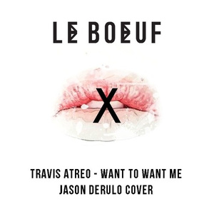 Want To Want Me(Le Boeuf Remix)