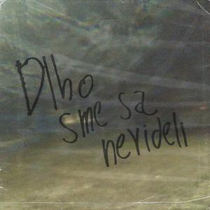 Dlho sme sa nevideli