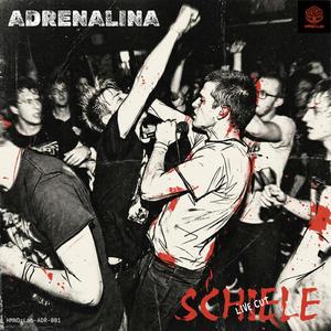 Schiele (Live Cut)