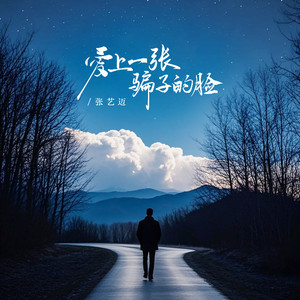 爱上一张骗子的脸