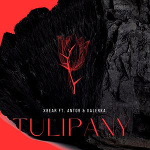 Tulipany