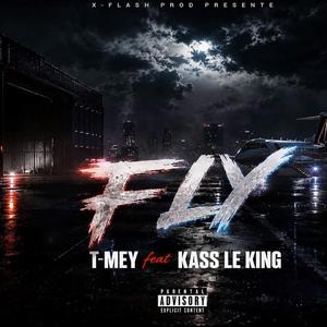 FLY (feat. KASS LE KING)